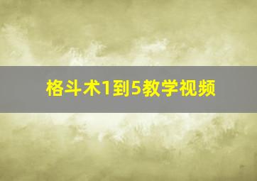 格斗术1到5教学视频