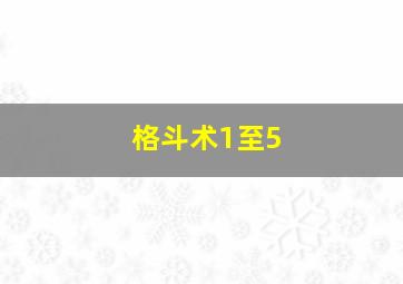 格斗术1至5