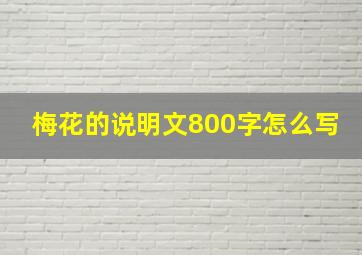 梅花的说明文800字怎么写