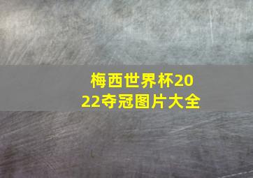 梅西世界杯2022夺冠图片大全