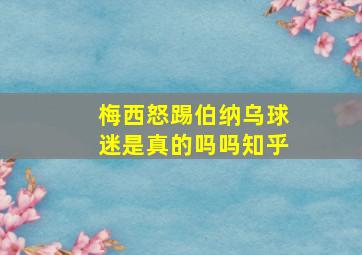 梅西怒踢伯纳乌球迷是真的吗吗知乎