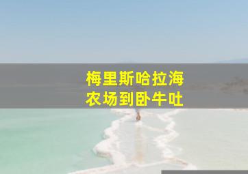 梅里斯哈拉海农场到卧牛吐