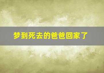 梦到死去的爸爸回家了