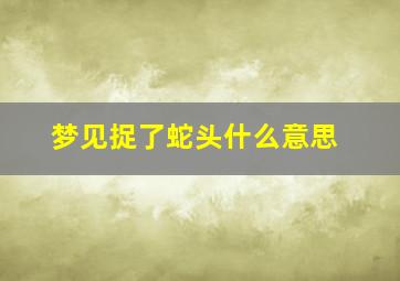 梦见捉了蛇头什么意思