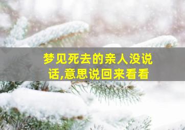 梦见死去的亲人没说话,意思说回来看看