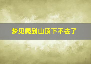 梦见爬到山顶下不去了