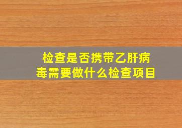 检查是否携带乙肝病毒需要做什么检查项目