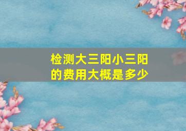 检测大三阳小三阳的费用大概是多少