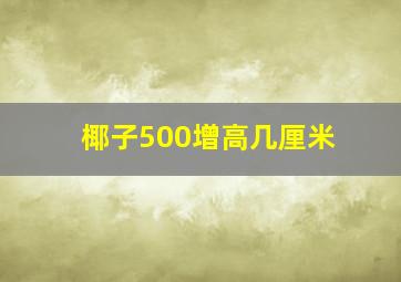 椰子500增高几厘米