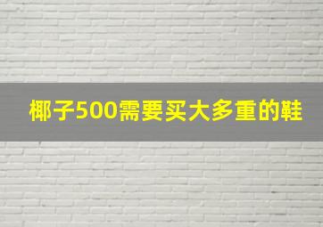 椰子500需要买大多重的鞋