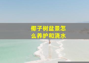 椰子树盆景怎么养护和浇水