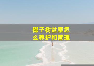 椰子树盆景怎么养护和管理