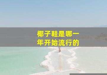 椰子鞋是哪一年开始流行的