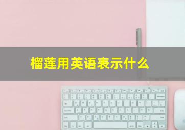 榴莲用英语表示什么