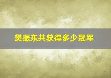 樊振东共获得多少冠军