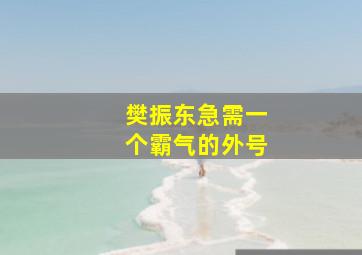 樊振东急需一个霸气的外号