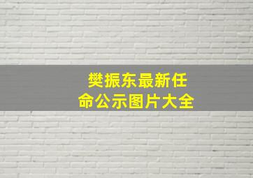 樊振东最新任命公示图片大全