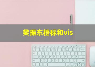 樊振东橙标和vis