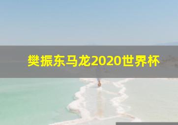 樊振东马龙2020世界杯