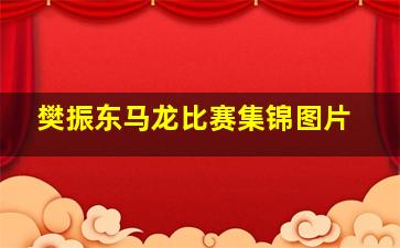 樊振东马龙比赛集锦图片