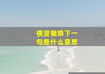 横竖撇捺下一句是什么意思