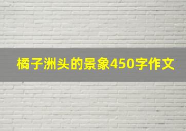 橘子洲头的景象450字作文