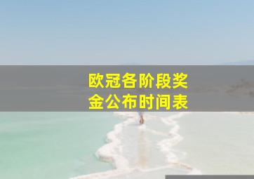 欧冠各阶段奖金公布时间表