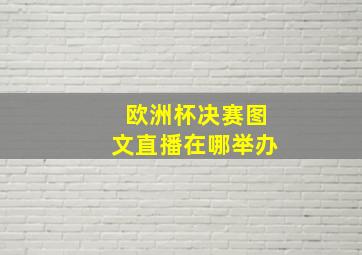 欧洲杯决赛图文直播在哪举办