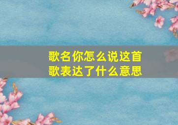 歌名你怎么说这首歌表达了什么意思