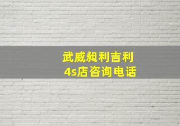 武威昶利吉利4s店咨询电话