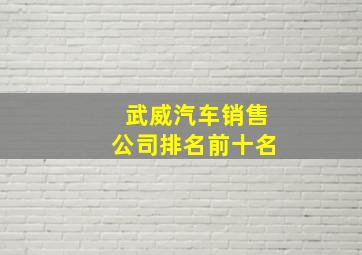 武威汽车销售公司排名前十名