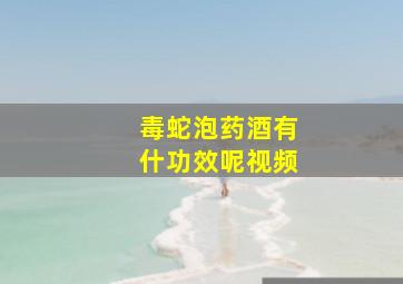 毒蛇泡药酒有什功效呢视频