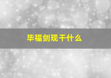 毕福剑现干什么