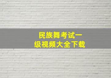 民族舞考试一级视频大全下载