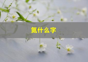 氮什么字