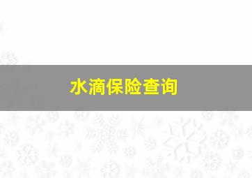 水滴保险查询