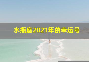 水瓶座2021年的幸运号