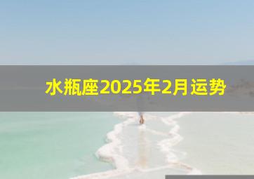 水瓶座2025年2月运势