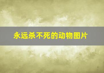 永远杀不死的动物图片