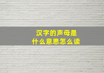 汉字的声母是什么意思怎么读