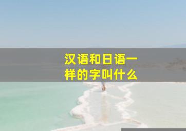 汉语和日语一样的字叫什么