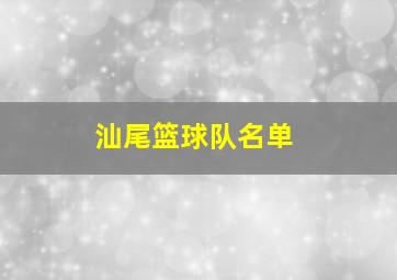 汕尾篮球队名单