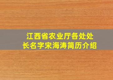 江西省农业厅各处处长名字宋海涛简历介绍