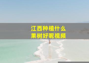 江西种植什么果树好呢视频