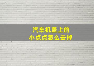 汽车机盖上的小点点怎么去掉