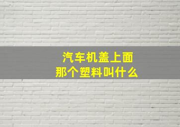 汽车机盖上面那个塑料叫什么