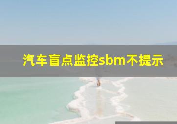 汽车盲点监控sbm不提示