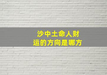 沙中土命人财运的方向是哪方