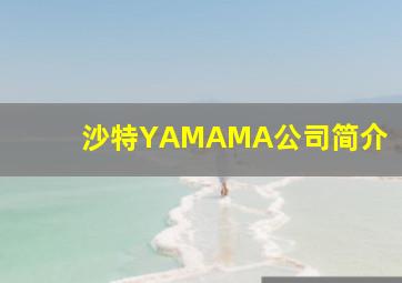 沙特YAMAMA公司简介