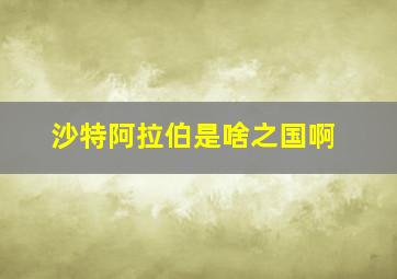 沙特阿拉伯是啥之国啊